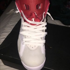 Air Jordan 6 Alternate